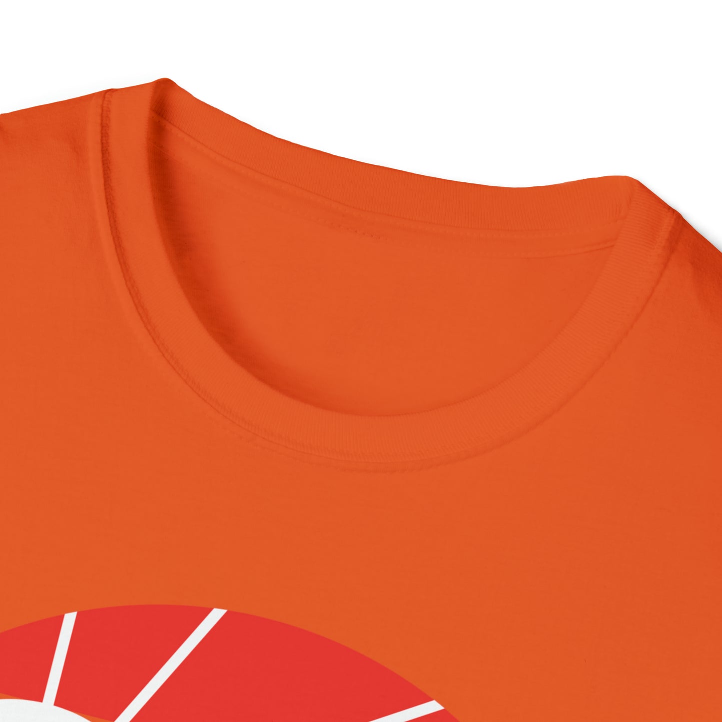 Sunset Palm Nature Graphic Tee Unisex Softstyle T-Shirt