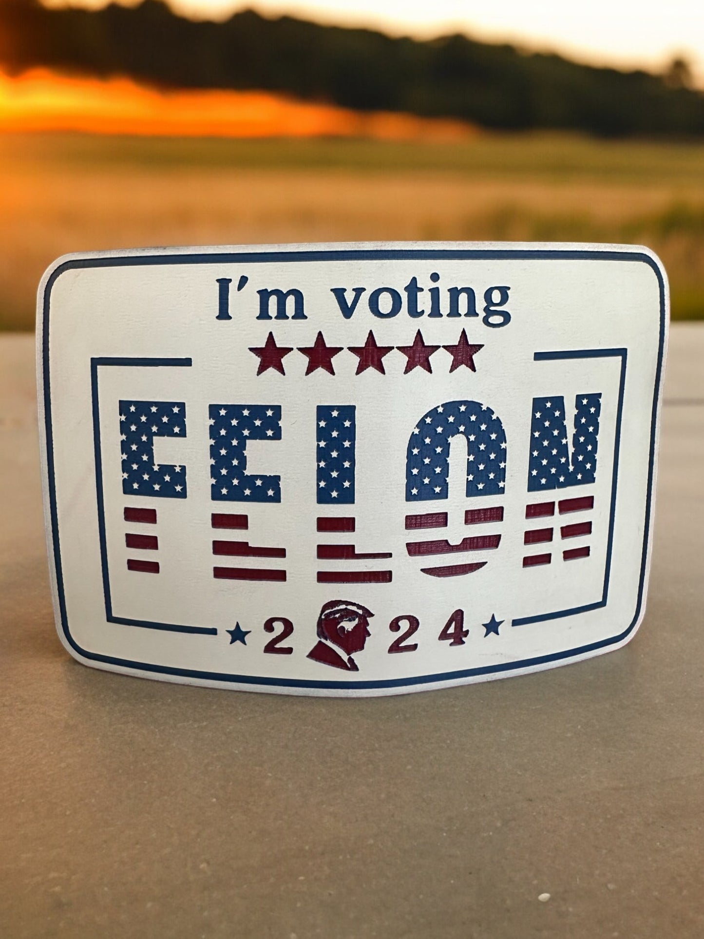 Trump Felon for President 2024 Hat